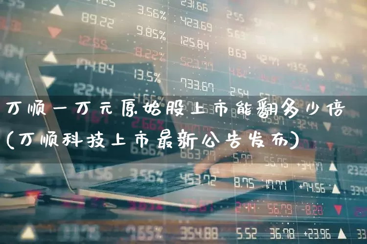 万顺一万元原始股上市能翻多少倍(万顺科技上市最新公告发布)_https://www.haiwangdasha.com_科创板_第1张