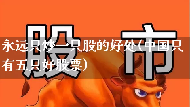 永远只炒一只股的好处(中国只有五只好股票)_https://www.haiwangdasha.com_深交所_第1张