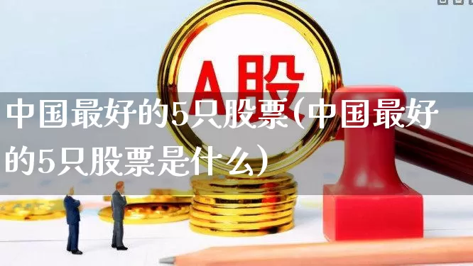 中国最好的5只股票(中国最好的5只股票是什么)_https://www.haiwangdasha.com_创业板_第1张