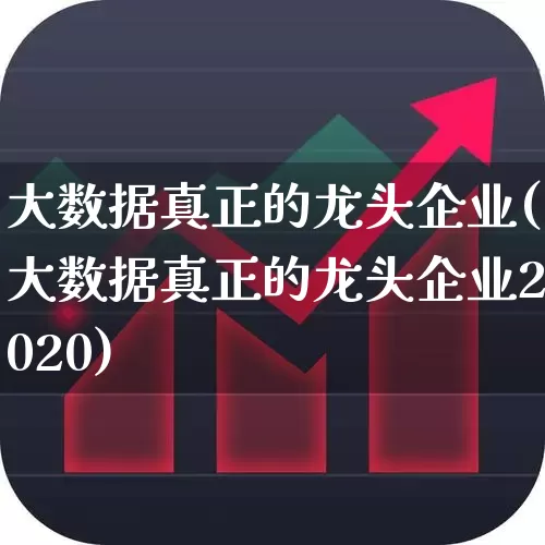 大数据真正的龙头企业(大数据真正的龙头企业2020)_https://www.haiwangdasha.com_深交所_第1张