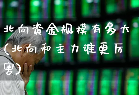 北向资金规模有多大(北向和主力谁更厉害)_https://www.haiwangdasha.com_创业板_第1张