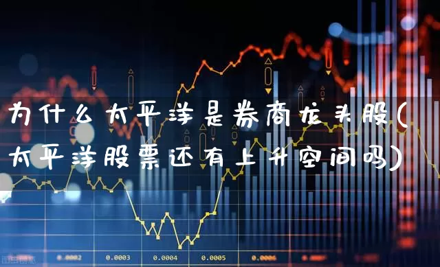为什么太平洋是券商龙头股(太平洋股票还有上升空间吗)_https://www.haiwangdasha.com_创业板_第1张