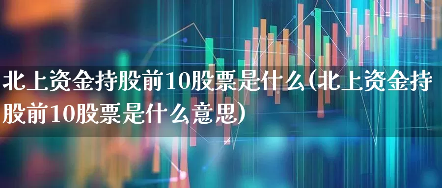 北上资金持股前10股票是什么(北上资金持股前10股票是什么意思)_https://www.haiwangdasha.com_上交所_第1张
