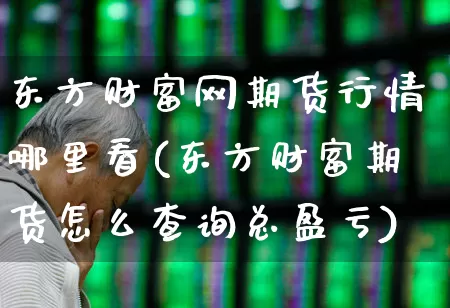 东方财富网期货行情哪里看(东方财富期货怎么查询总盈亏)_https://www.haiwangdasha.com_上期能源_第1张