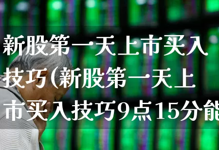 新股第一天上市买入技巧(新股第一天上市买入技巧9点15分能否买到新股)_https://www.haiwangdasha.com_创业板_第1张