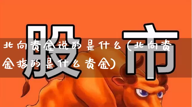 北向资金说的是什么(北向资金指的是什么资金)_https://www.haiwangdasha.com_创业板_第1张