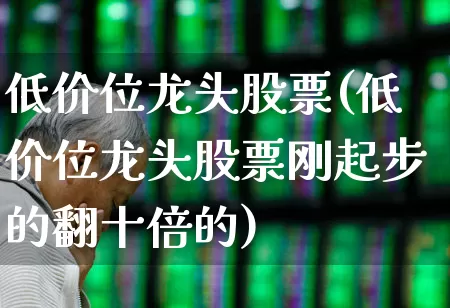 低价位龙头股票(低价位龙头股票刚起步的翻十倍的)_https://www.haiwangdasha.com_深交所_第1张