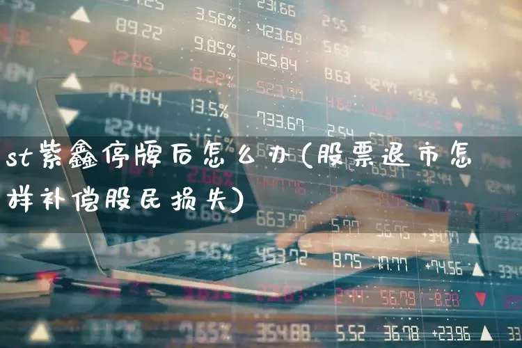 st紫鑫停牌后怎么办(股票退市怎样补偿股民损失)_https://www.haiwangdasha.com_北交所_第1张