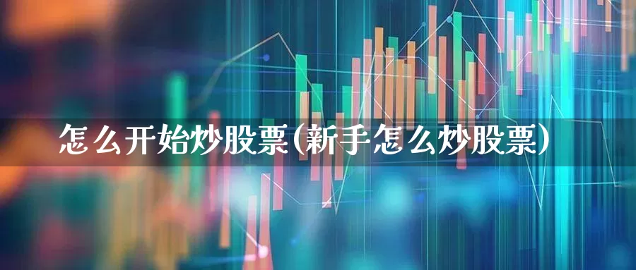 怎么开始炒股票(新手怎么炒股票)_https://www.haiwangdasha.com_上交所_第1张