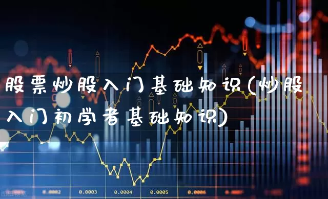 股票炒股入门基础知识(炒股入门初学者基础知识)_https://www.haiwangdasha.com_创业板_第1张