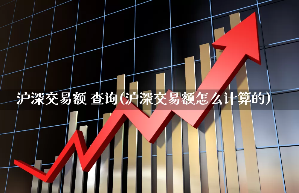 沪深交易额 查询(沪深交易额怎么计算的)_https://www.haiwangdasha.com_科创板_第1张
