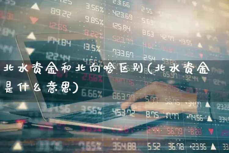北水资金和北向啥区别(北水资金是什么意思)_https://www.haiwangdasha.com_北交所_第1张