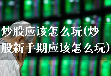 炒股应该怎么玩(炒股新手期应该怎么玩)_https://www.haiwangdasha.com_科创板_第1张