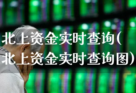 北上资金实时查询(北上资金实时查询图)_https://www.haiwangdasha.com_深交所_第1张