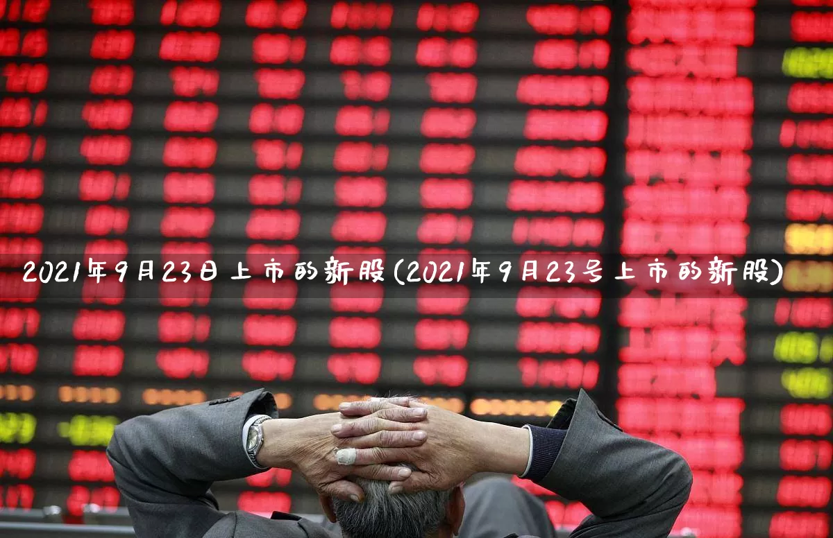 2021年9月23日上市的新股(2021年9月23号上市的新股)_https://www.haiwangdasha.com_深交所_第1张