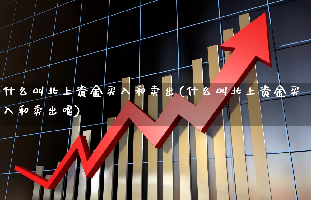什么叫北上资金买入和卖出(什么叫北上资金买入和卖出呢)_https://www.haiwangdasha.com_上交所_第1张