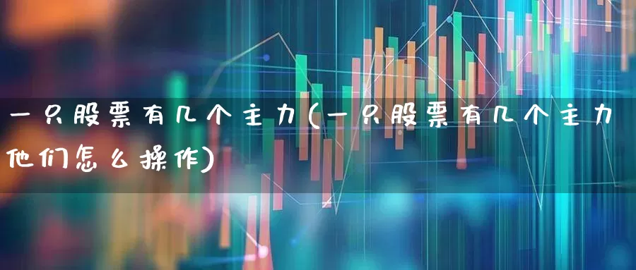 一只股票有几个主力(一只股票有几个主力他们怎么操作)_https://www.haiwangdasha.com_上交所_第1张
