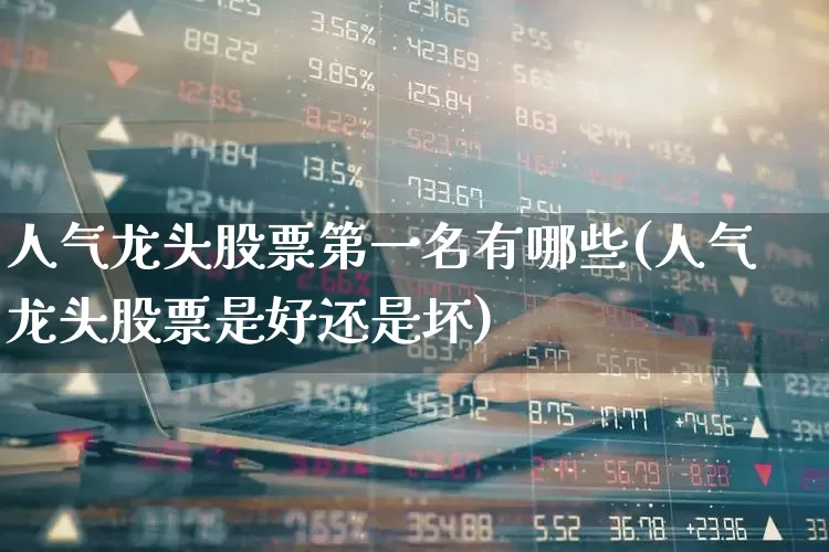人气龙头股票第一名有哪些(人气龙头股票是好还是坏)_https://www.haiwangdasha.com_深交所_第1张