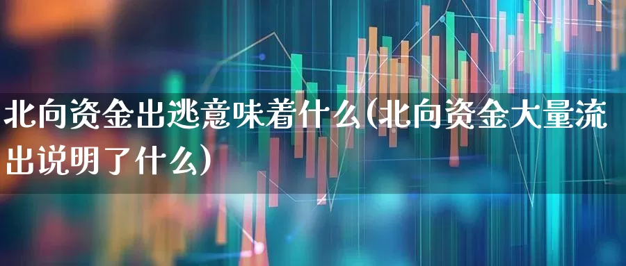 北向资金出逃意味着什么(北向资金大量流出说明了什么)_https://www.haiwangdasha.com_北交所_第1张