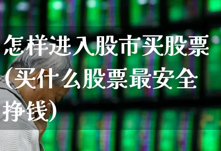 怎样进入股市买股票(买什么股票最安全挣钱)_https://www.haiwangdasha.com_深交所_第1张