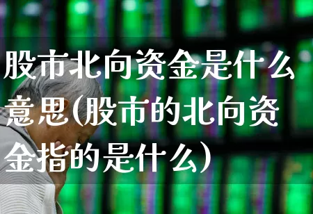 股市北向资金是什么意思(股市的北向资金指的是什么)_https://www.haiwangdasha.com_上交所_第1张