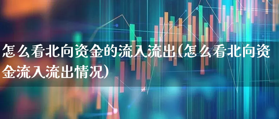 怎么看北向资金的流入流出(怎么看北向资金流入流出情况)_https://www.haiwangdasha.com_北交所_第1张