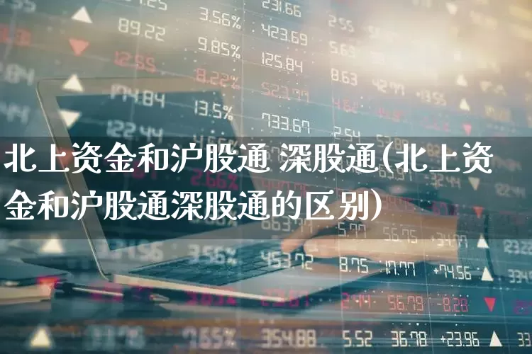 北上资金和沪股通 深股通(北上资金和沪股通深股通的区别)_https://www.haiwangdasha.com_上交所_第1张