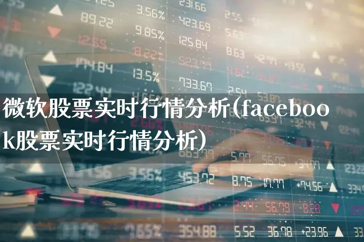 微软股票实时行情分析(facebook股票实时行情分析)_https://www.haiwangdasha.com_上交所_第1张