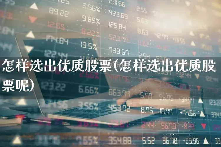怎样选出优质股票(怎样选出优质股票呢)_https://www.haiwangdasha.com_深交所_第1张