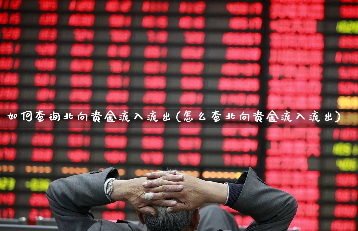 如何查询北向资金流入流出(怎么查北向资金流入流出)_https://www.haiwangdasha.com_创业板_第1张