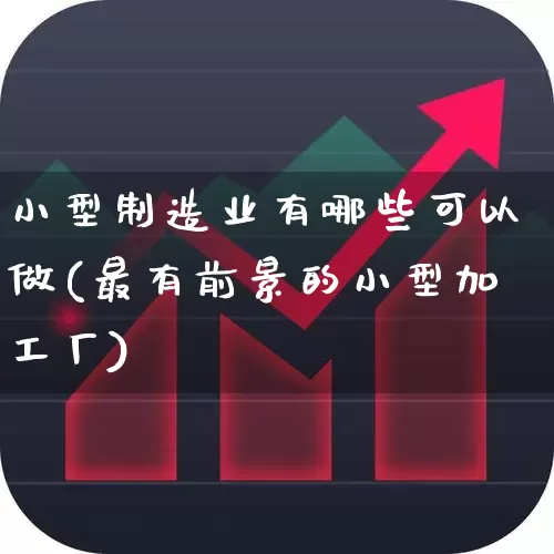 小型制造业有哪些可以做(最有前景的小型加工厂)_https://www.haiwangdasha.com_科创板_第1张