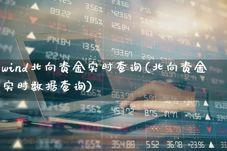 wind北向资金实时查询(北向资金实时数据查询)_https://www.haiwangdasha.com_上交所_第1张