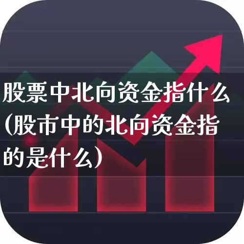 股票中北向资金指什么(股市中的北向资金指的是什么)_https://www.haiwangdasha.com_北交所_第1张