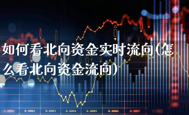 如何看北向资金实时流向(怎么看北向资金流向)_https://www.haiwangdasha.com_深交所_第1张