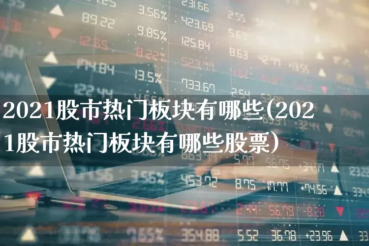 2021股市热门板块有哪些(2021股市热门板块有哪些股票)_https://www.haiwangdasha.com_科创板_第1张