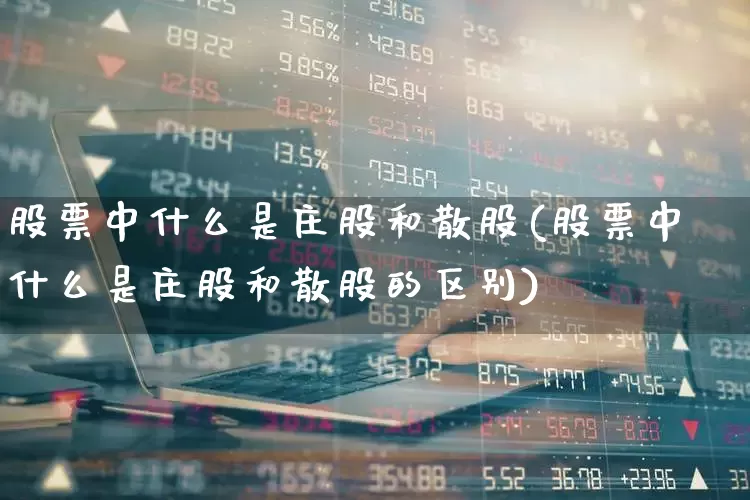 股票中什么是庄股和散股(股票中什么是庄股和散股的区别)_https://www.haiwangdasha.com_上交所_第1张