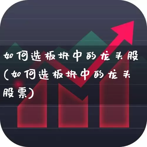 如何选板块中的龙头股(如何选板块中的龙头股票)_https://www.haiwangdasha.com_北交所_第1张