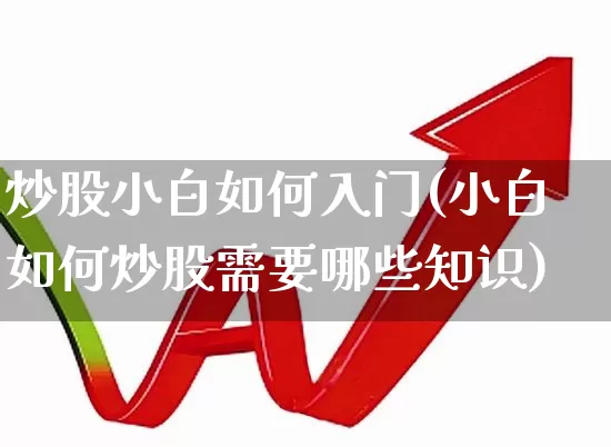 炒股小白如何入门(小白如何炒股需要哪些知识)_https://www.haiwangdasha.com_科创板_第1张
