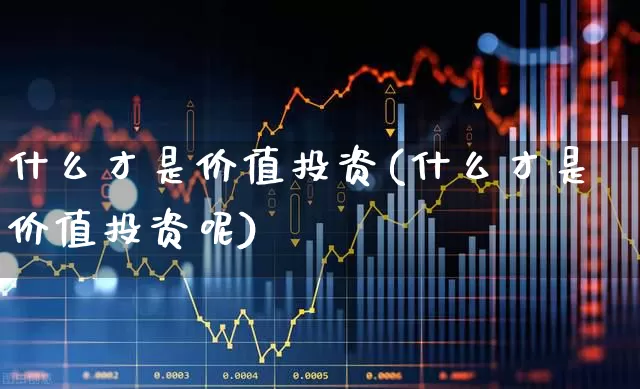 什么才是价值投资(什么才是价值投资呢)_https://www.haiwangdasha.com_上交所_第1张
