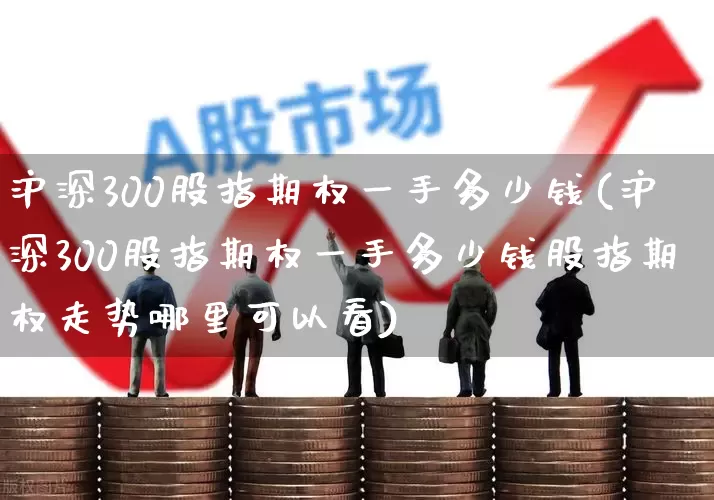 沪深300股指期权一手多少钱(沪深300股指期权一手多少钱股指期权走势哪里可以看)_https://www.haiwangdasha.com_北交所_第1张