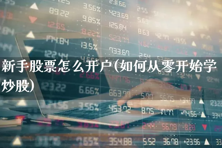 新手股票怎么开户(如何从零开始学炒股)_https://www.haiwangdasha.com_科创板_第1张