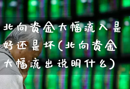 北向资金大幅流入是好还是坏(北向资金大幅流出说明什么)_https://www.haiwangdasha.com_创业板_第1张