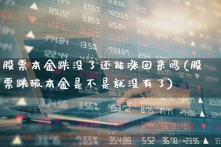股票本金跌没了还能涨回来吗(股票跌破本金是不是就没有了)_https://www.haiwangdasha.com_创业板_第1张