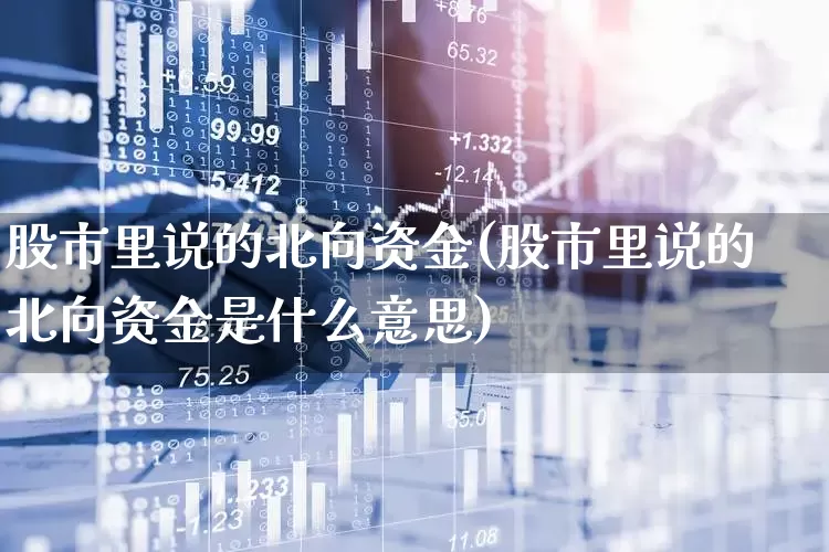 股市里说的北向资金(股市里说的北向资金是什么意思)_https://www.haiwangdasha.com_上交所_第1张