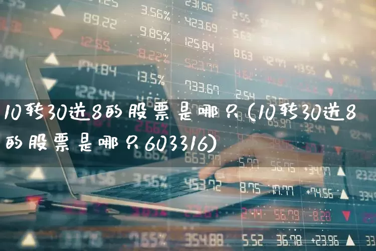 10转30送8的股票是哪只(10转30送8的股票是哪只603316)_https://www.haiwangdasha.com_北交所_第1张