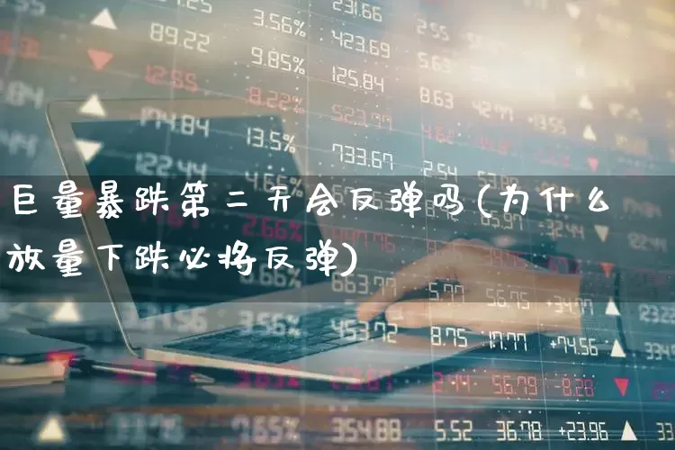 巨量暴跌第二天会反弹吗(为什么放量下跌必将反弹)_https://www.haiwangdasha.com_深交所_第1张