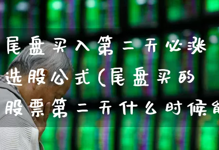 尾盘买入第二天必涨选股公式(尾盘买的股票第二天什么时候能出售)_https://www.haiwangdasha.com_上交所_第1张