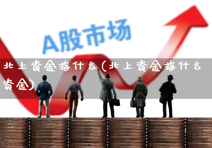 北上资金指什么(北上资金指什么资金)_https://www.haiwangdasha.com_北交所_第1张