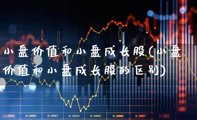 小盘价值和小盘成长股(小盘价值和小盘成长股的区别)_https://www.haiwangdasha.com_上交所_第1张