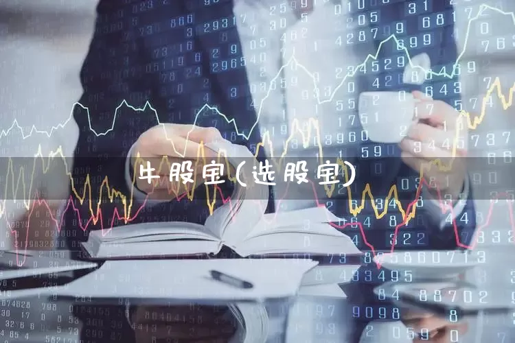牛股宝(选股宝)_https://www.haiwangdasha.com_深交所_第1张